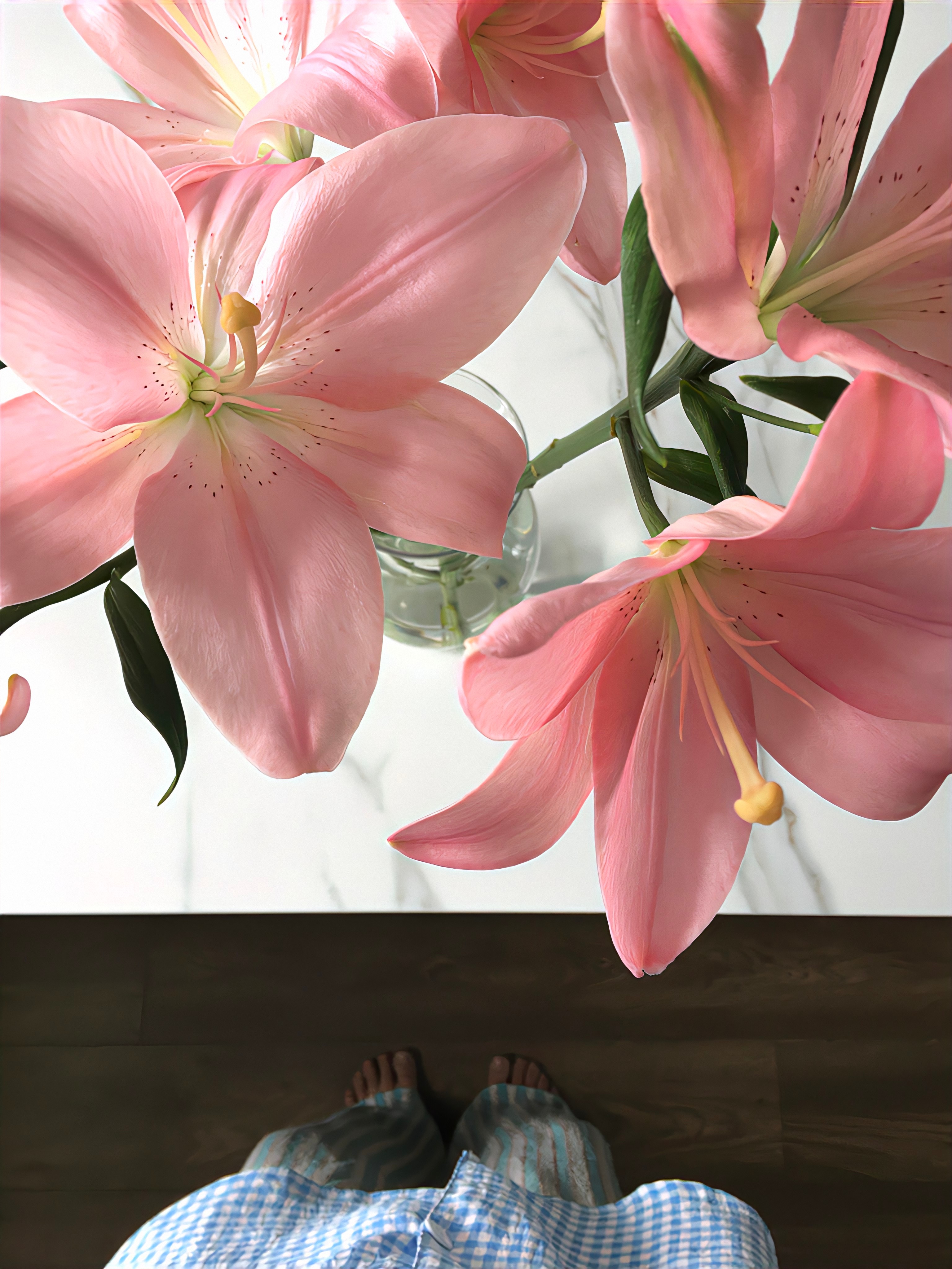 百合花 