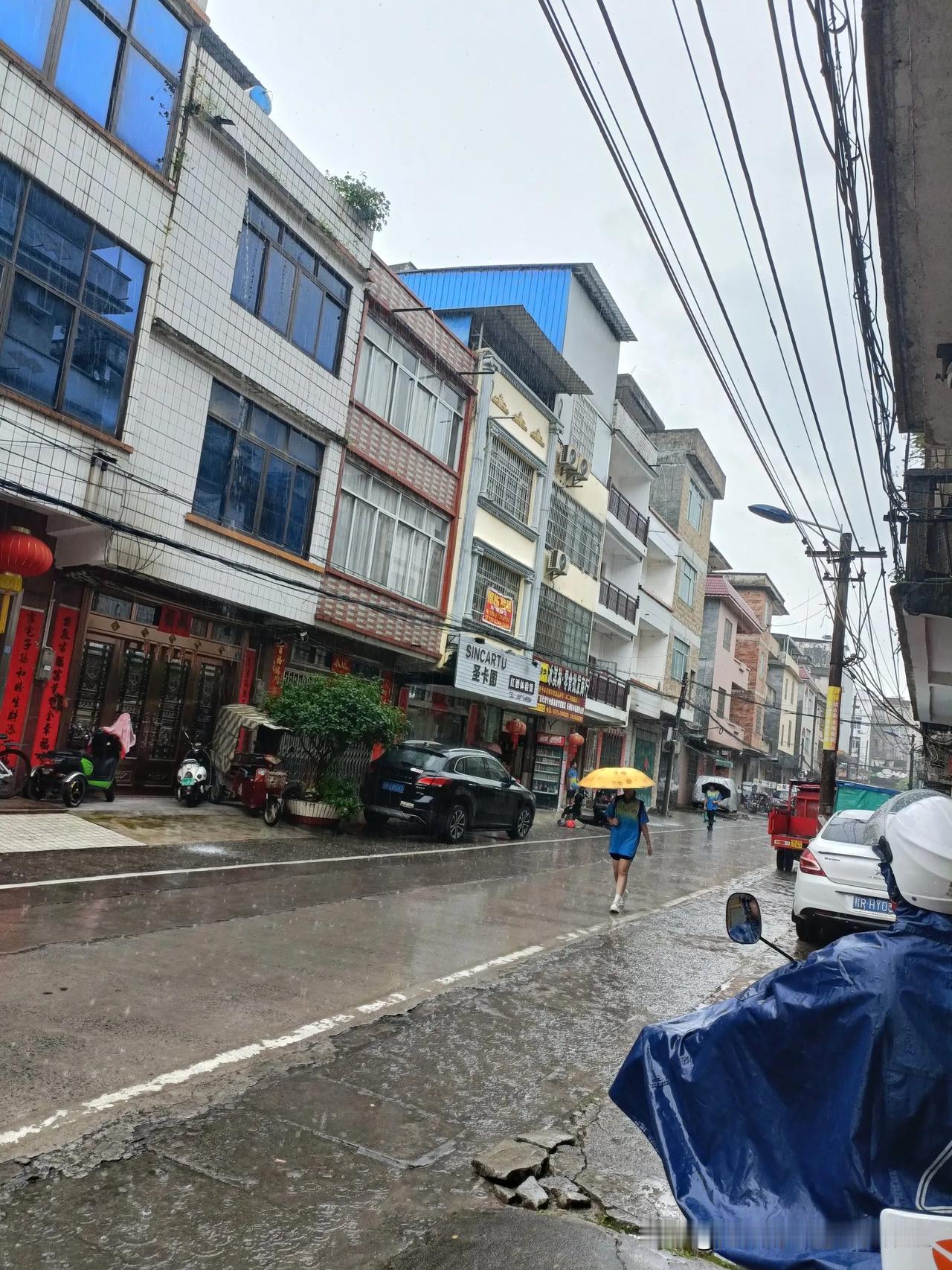 今年上半年真是，
天无一日晴，
每天一场或几场雨，
冬天的棉被至今都没能晒一轮，