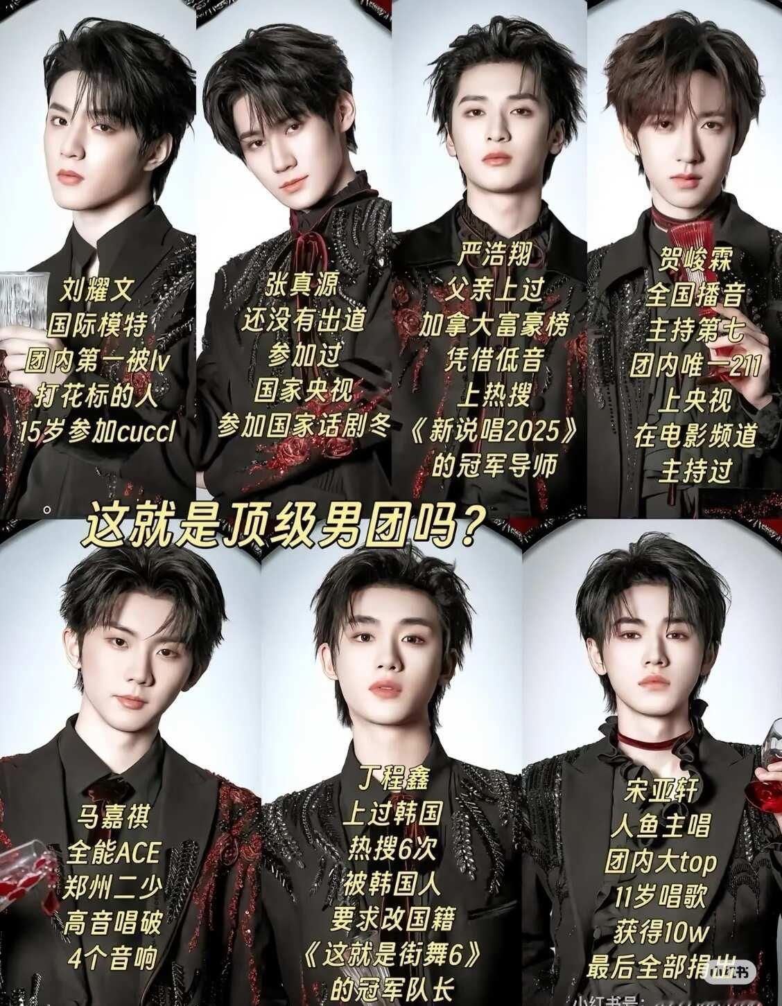 男团 一脚把我踹进内娱的人 我担秒了一切