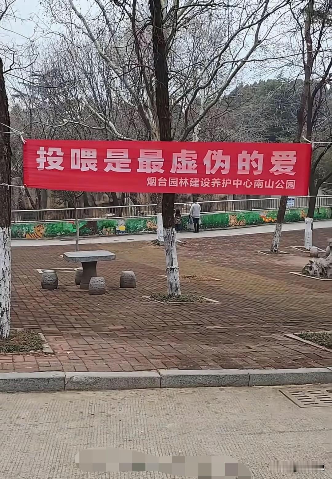 公共草坪被剩的猫狗粮，猫罐头，剩菜骨头堆得乱糟糟，老鼠苍蝇围着转，喂的猫没见少，