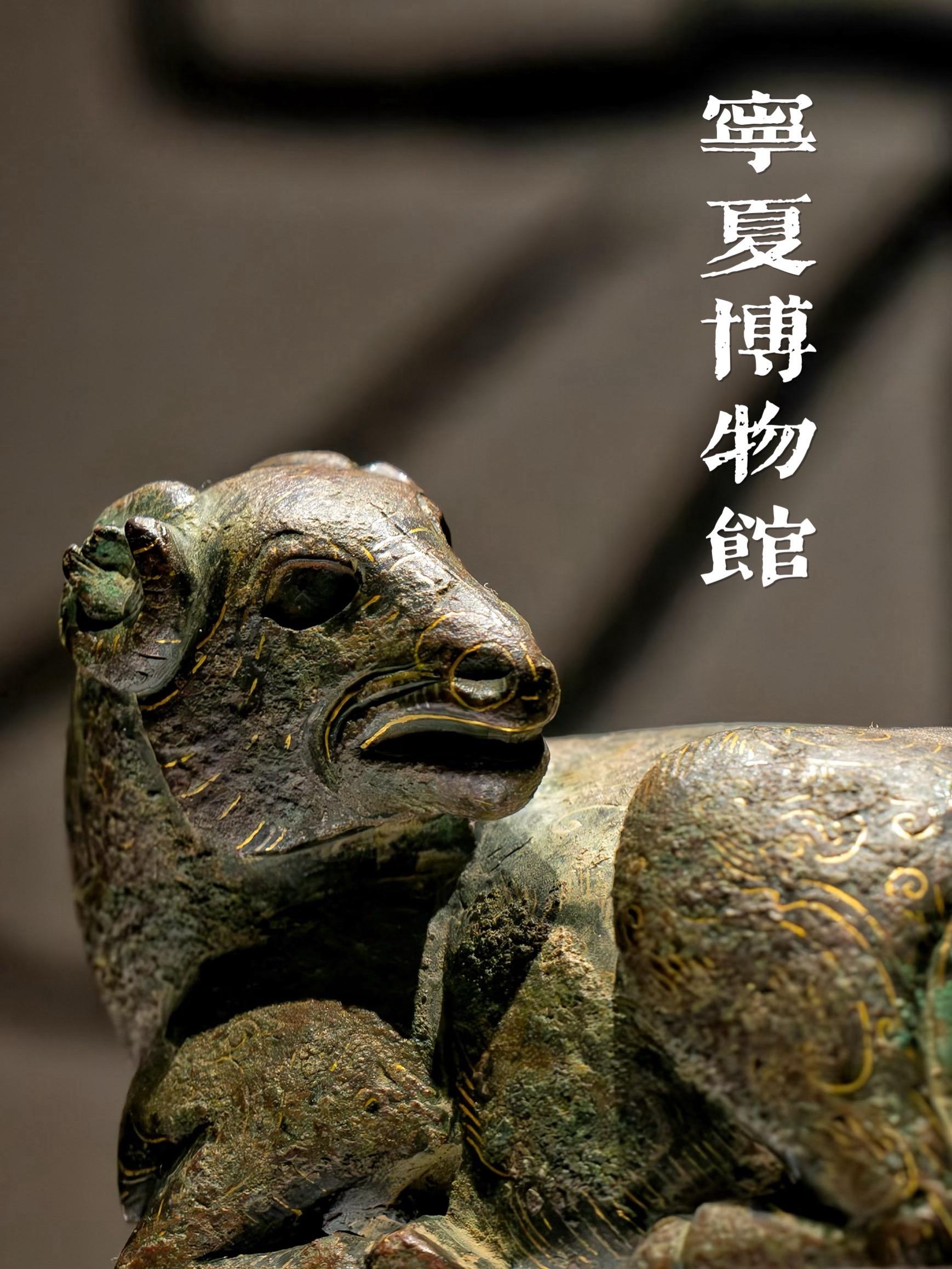 “贺兰山岩画里的太阳神 凝视着西夏王朝的佛国残梦”  宁夏博物馆的结束...