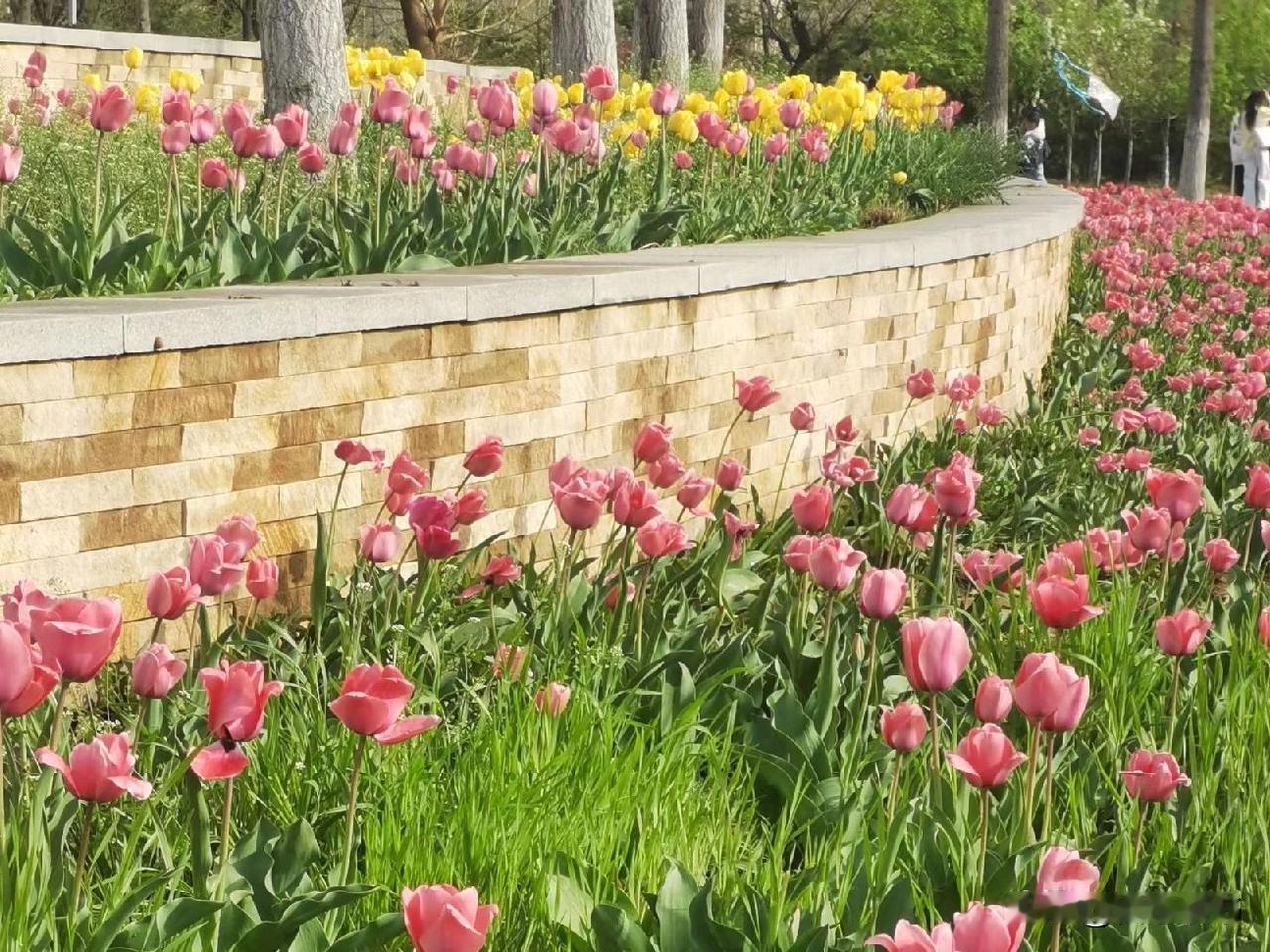 你相信吗？现实生活中，懂得感恩的儿媳妇真的是少之又少。
虽然大多数婆婆在儿媳妇面