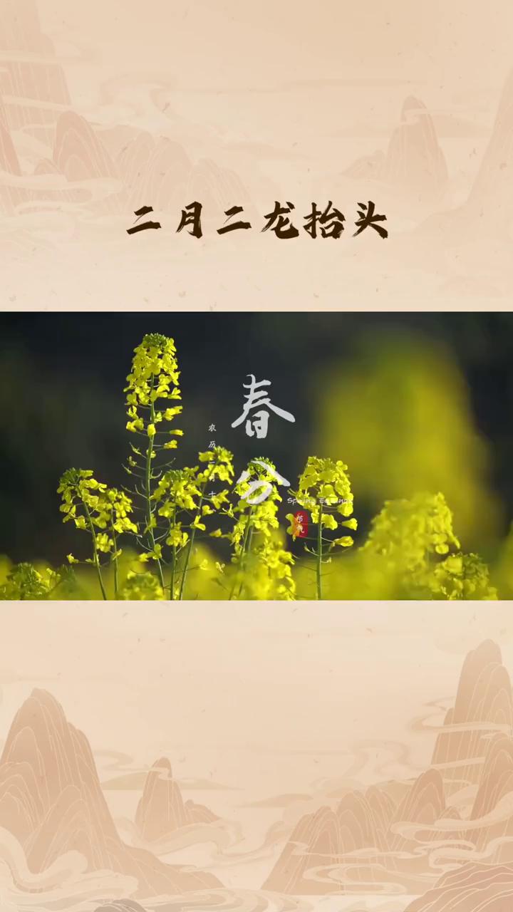 春分乘以二月二龙抬头。
今年同一天，2026年3月20日-上一次，2015年下一