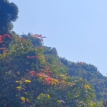 每日一善 ｜阳光信用 脚踏实地，比什么都重要，天下没有不劳而获，更没有一夜暴富的