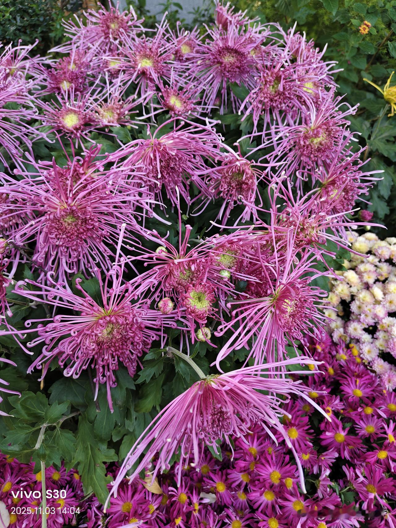 在异乡突然想家的瞬间