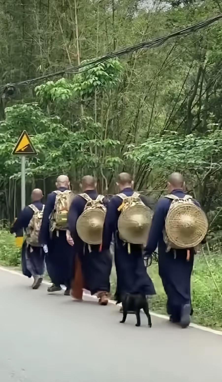 网友在四川大山里拍到的场景
一行五人
在大山深处急匆匆的赶路…
看似僧人
但是他