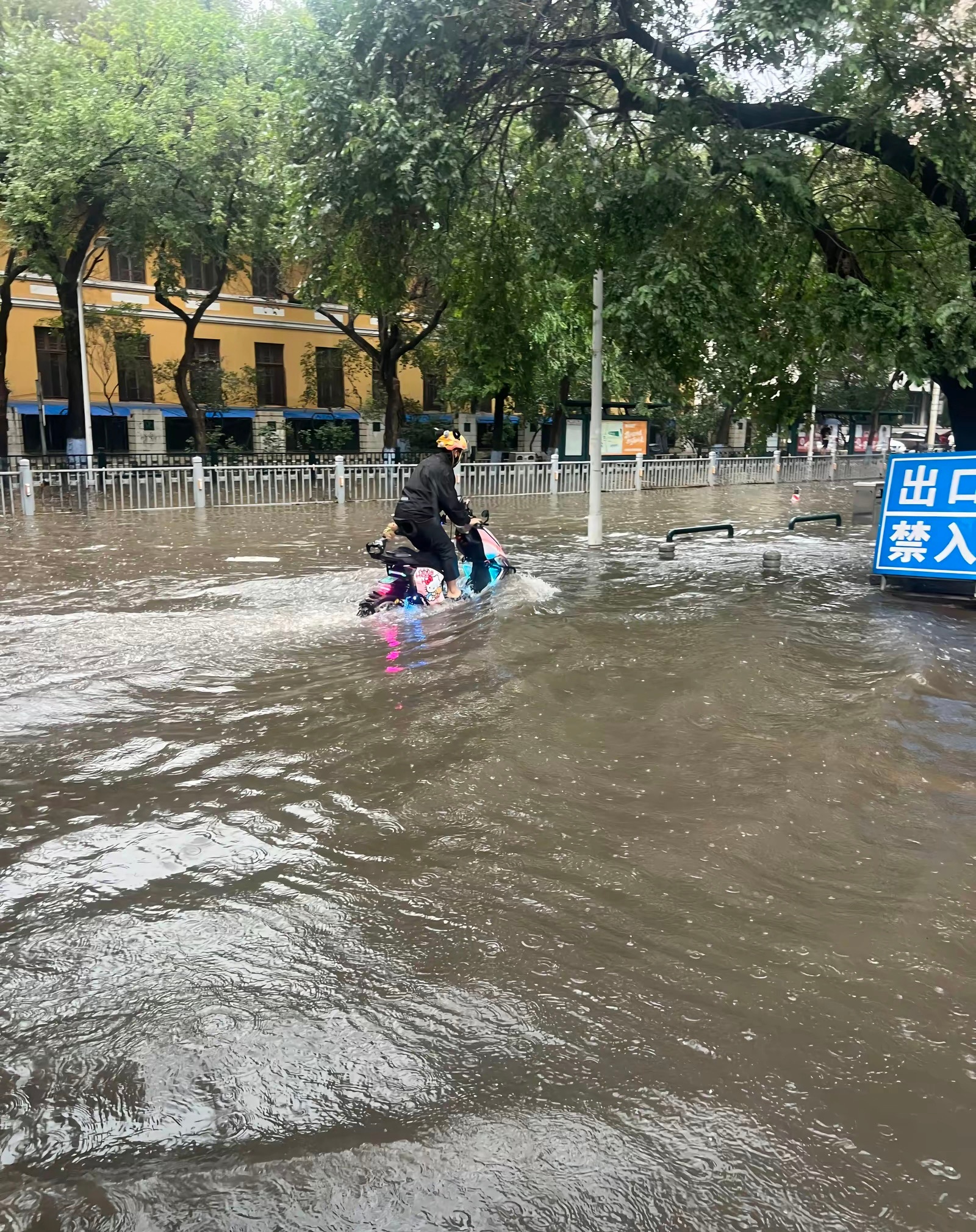 今天的哈尔滨依旧全员冲浪