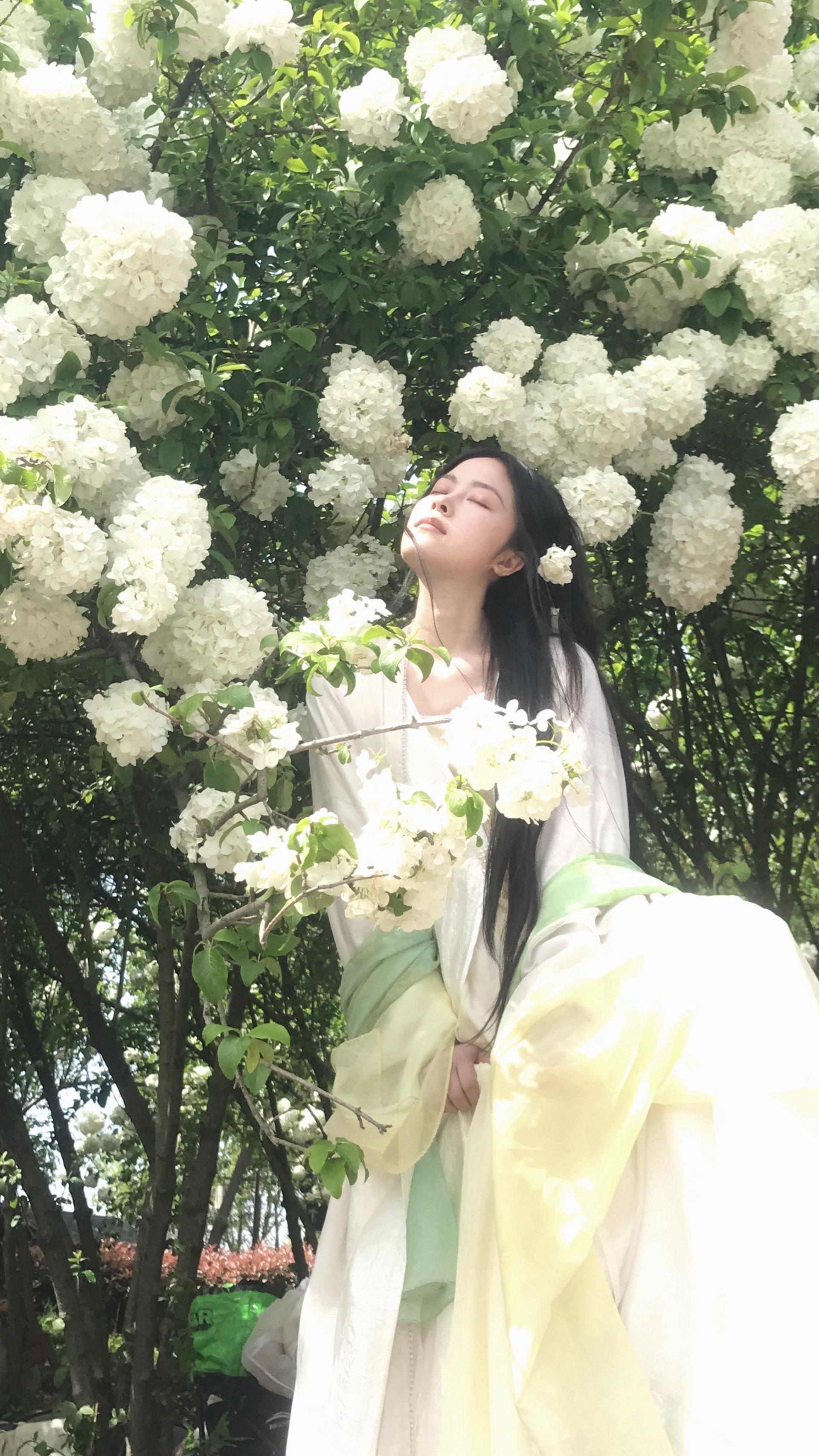 春天在我的身体里肆意生长。终于拍到绣球花啦！