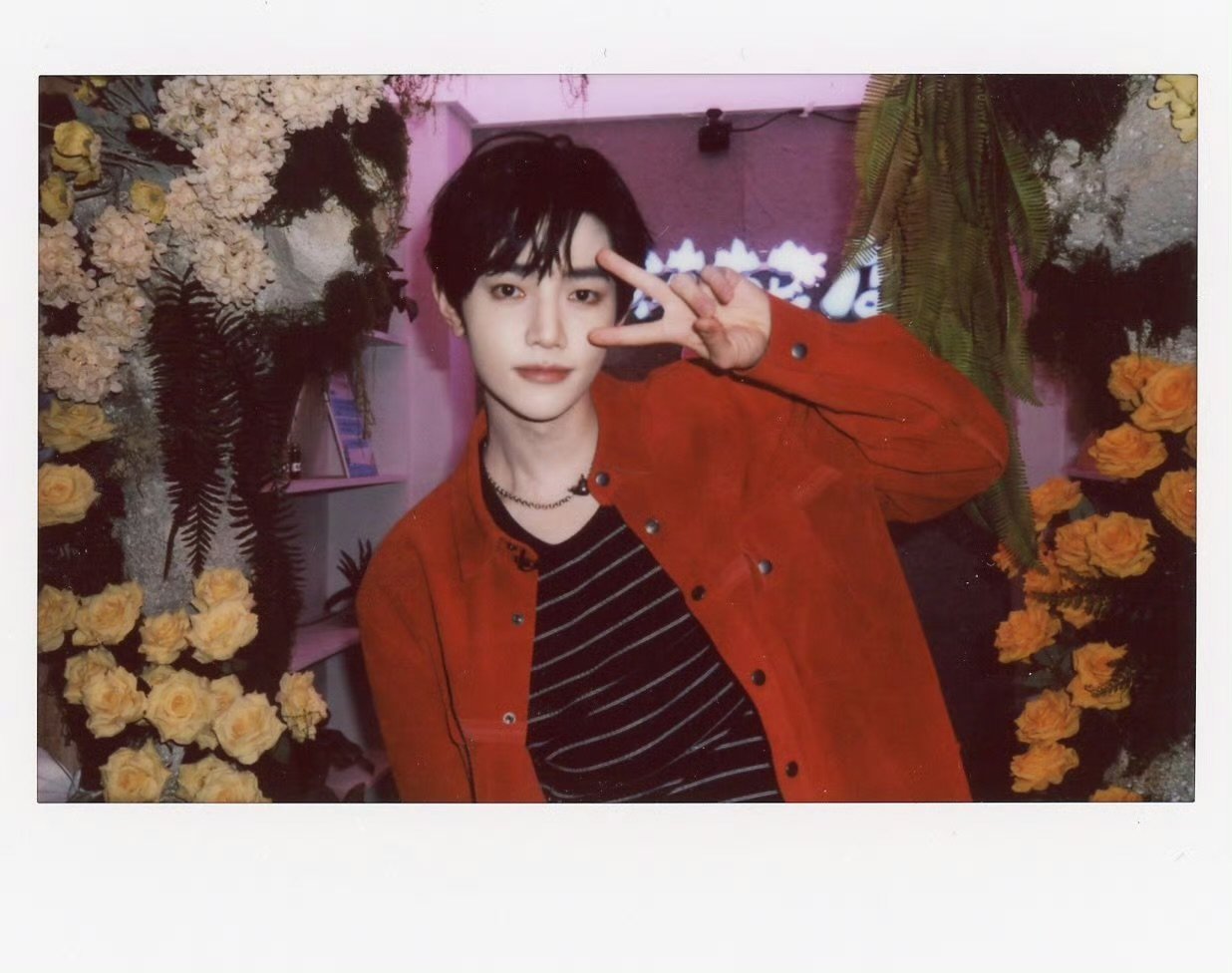 章昊你好星期六拍立得章昊你好星期六拍立得 