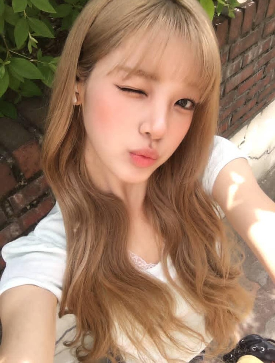 260618 wvs回归真的很快！！🤭💖🍋yuha's wvs