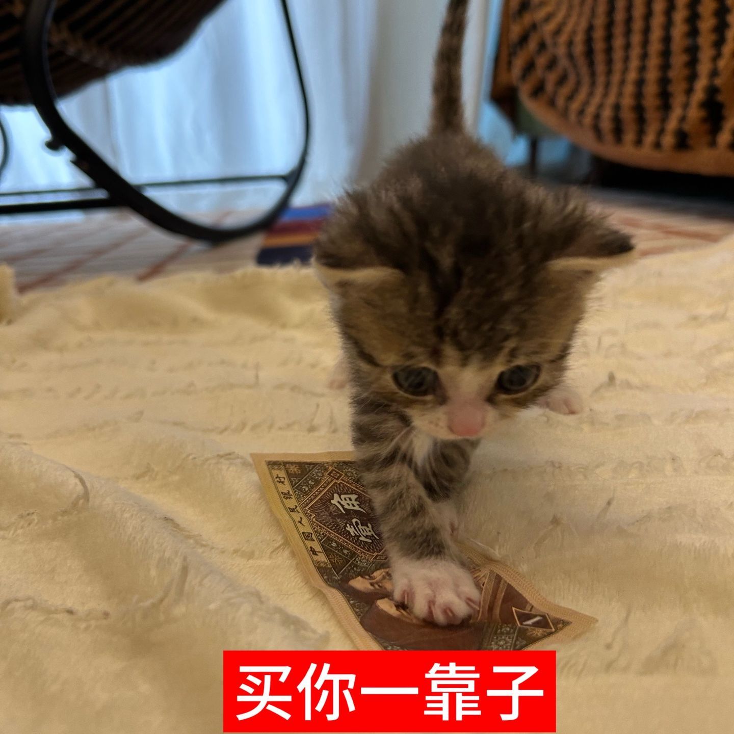一天为什么不是48小时 我觉得24小时我还要吃饭睡觉根本不够我玩手机的 ​​​