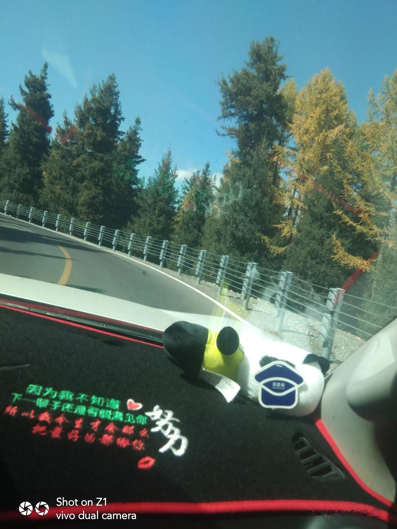 #随手在公园拍下的景象#