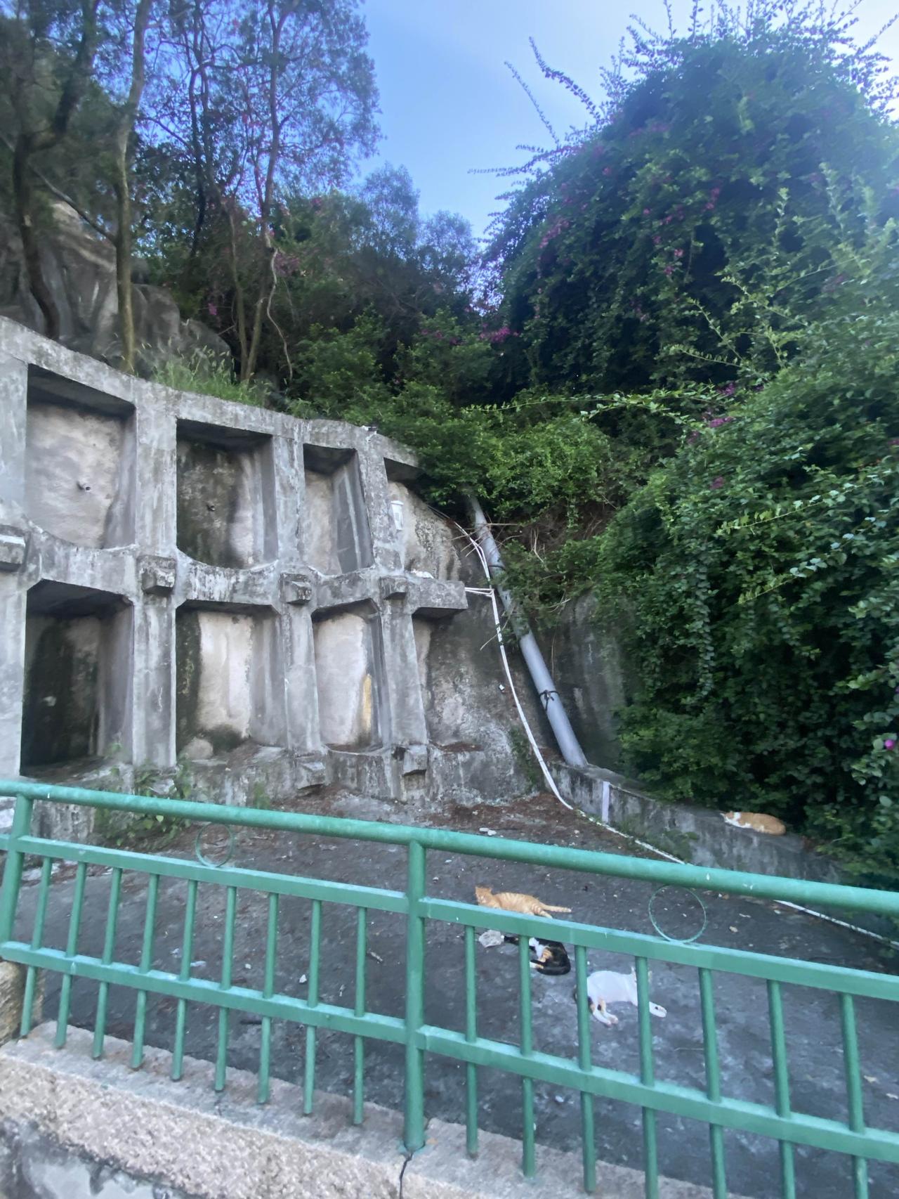 本来是防止山体滑坡的，建防护墙倒建成了流浪猫的天堂，没建之前，猫咪多半都是睡在居