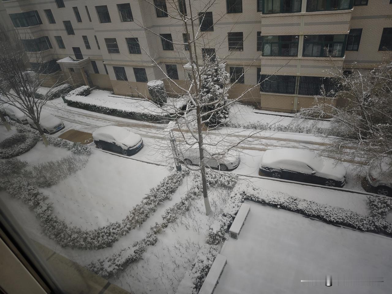 陇东，最后一场春雪！