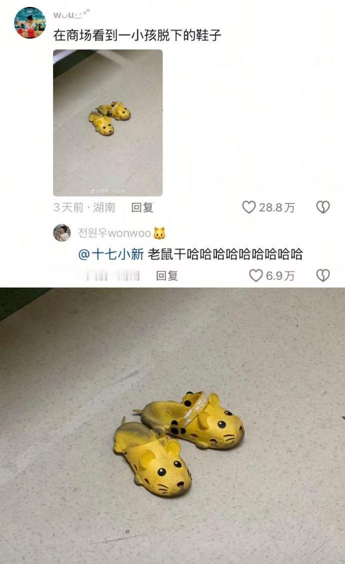 笑点低的真的看不了这些哈哈哈哈哈哈哈哈哈 ​​​