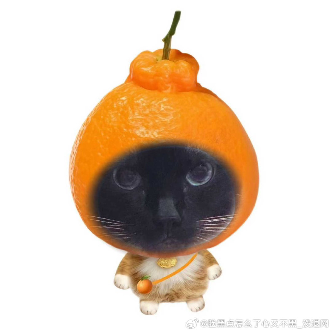 3841只黑脸【黑脸猫版】丑橘…不丑…… 