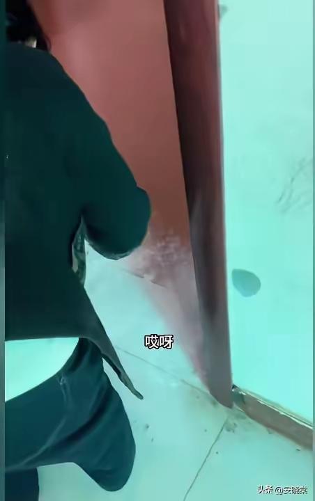 儿子离世第三天，母亲洒满全屋面粉：只要脚印还在，你就没走远！

人间最痛的离别，