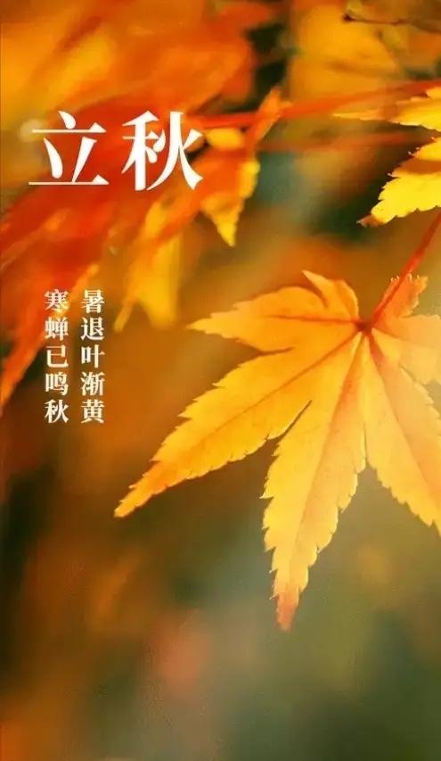 8月7日立秋，正是中伏之时，又是晚上19点42分立秋，属于晚立秋，老话说，早立秋