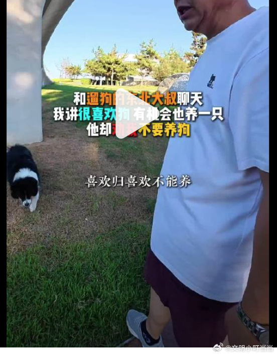和遛狗大叔聊天打消了养狗的念头 这种遛狗不栓绳的货，还摆拍当人生导师。 ​​​