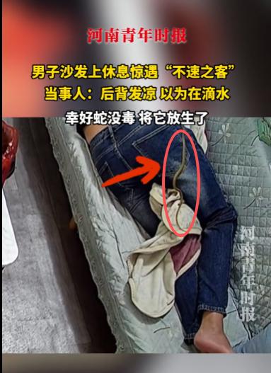 “太吓人了！”10月11日，福建，一男子躺在沙发上休息时突然屁股一凉，一条小蛇悄