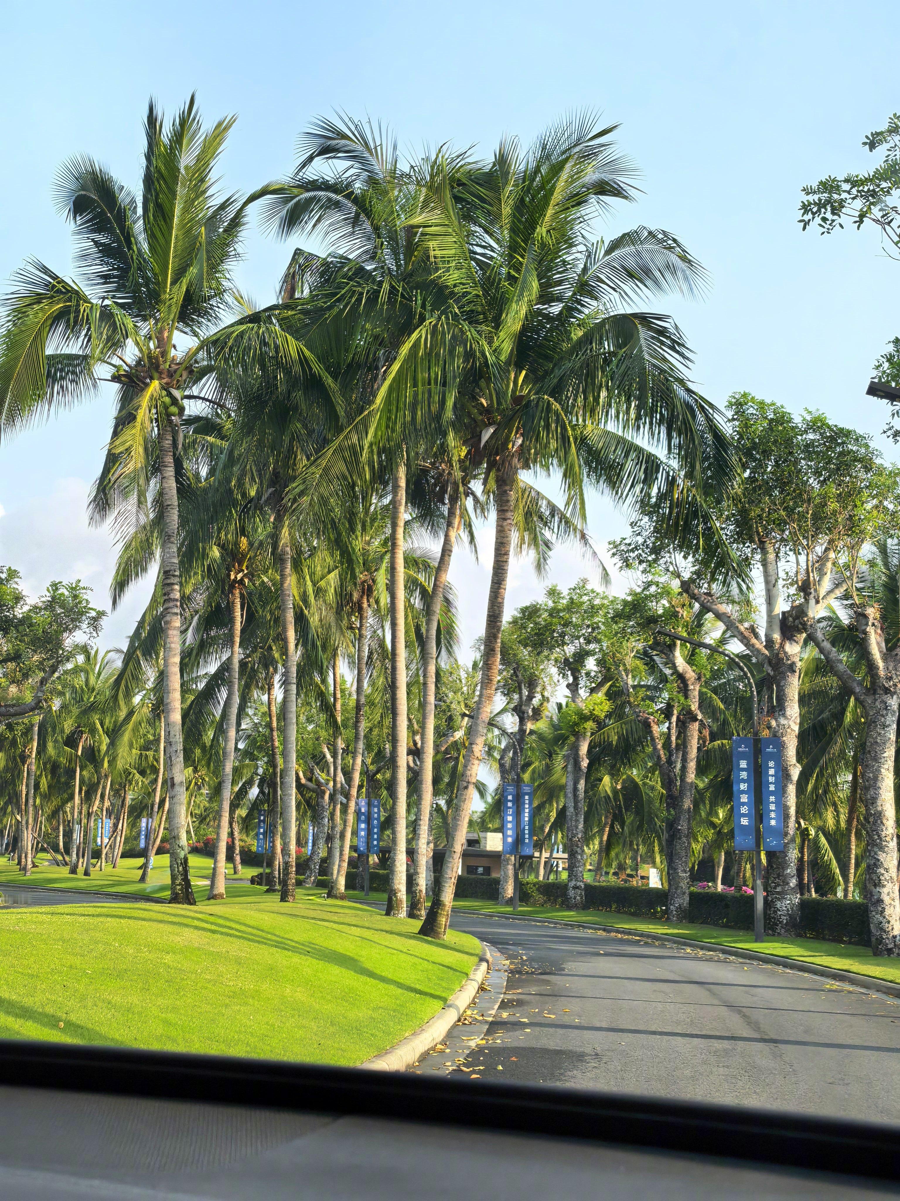 昨天21点还在北京，今天早上6点就在海南了，好湿润。 