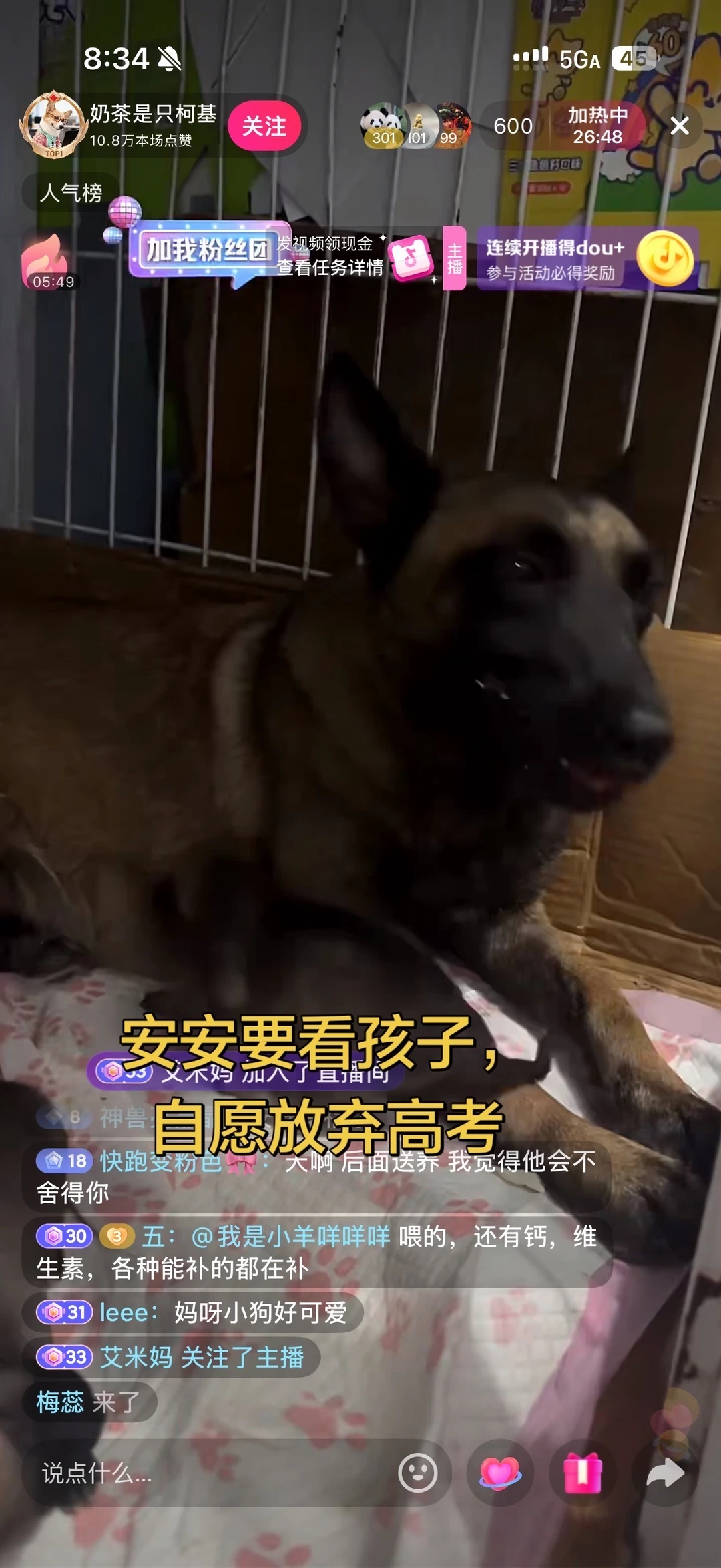 我们安安就是要吃饱就睡，才不要吃苦耐劳