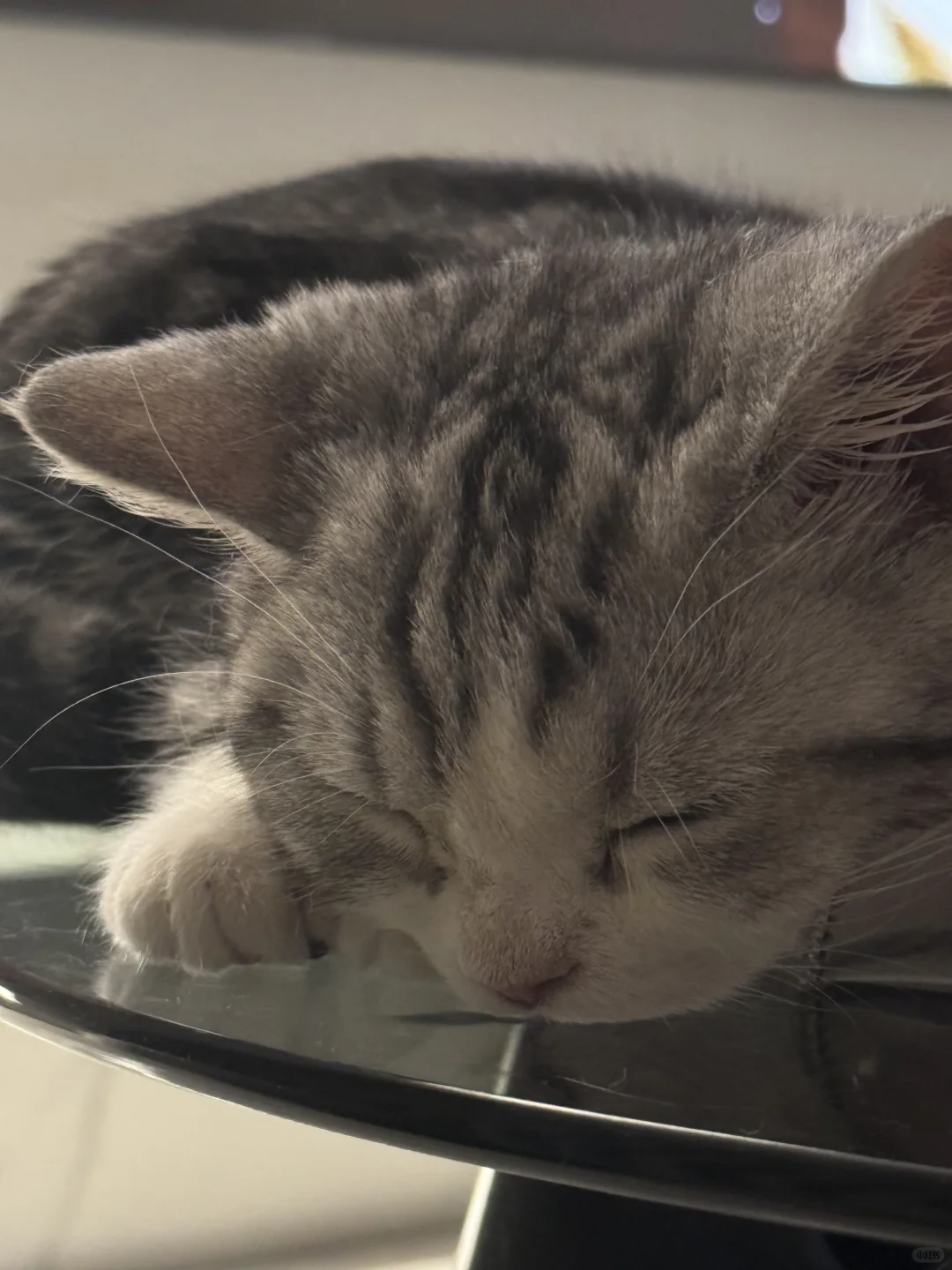 在哪儿都能睡呢小胖子