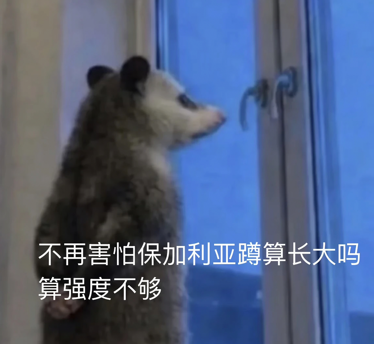 练腿不可冒进，不可随意加练。若第二天腿没感觉，也不要得意。你以为是自己变强了，可