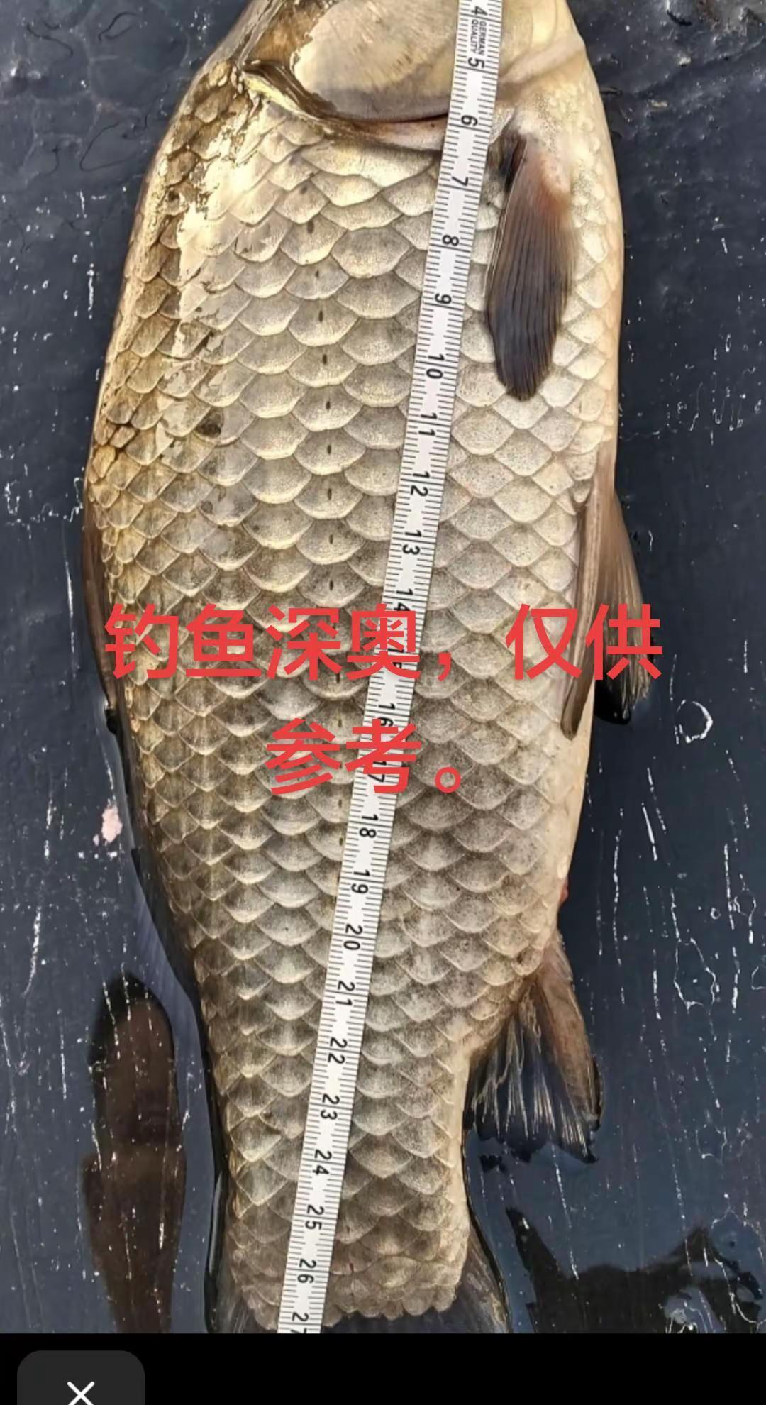 钓鱼的乐趣只有钓鱼人懂