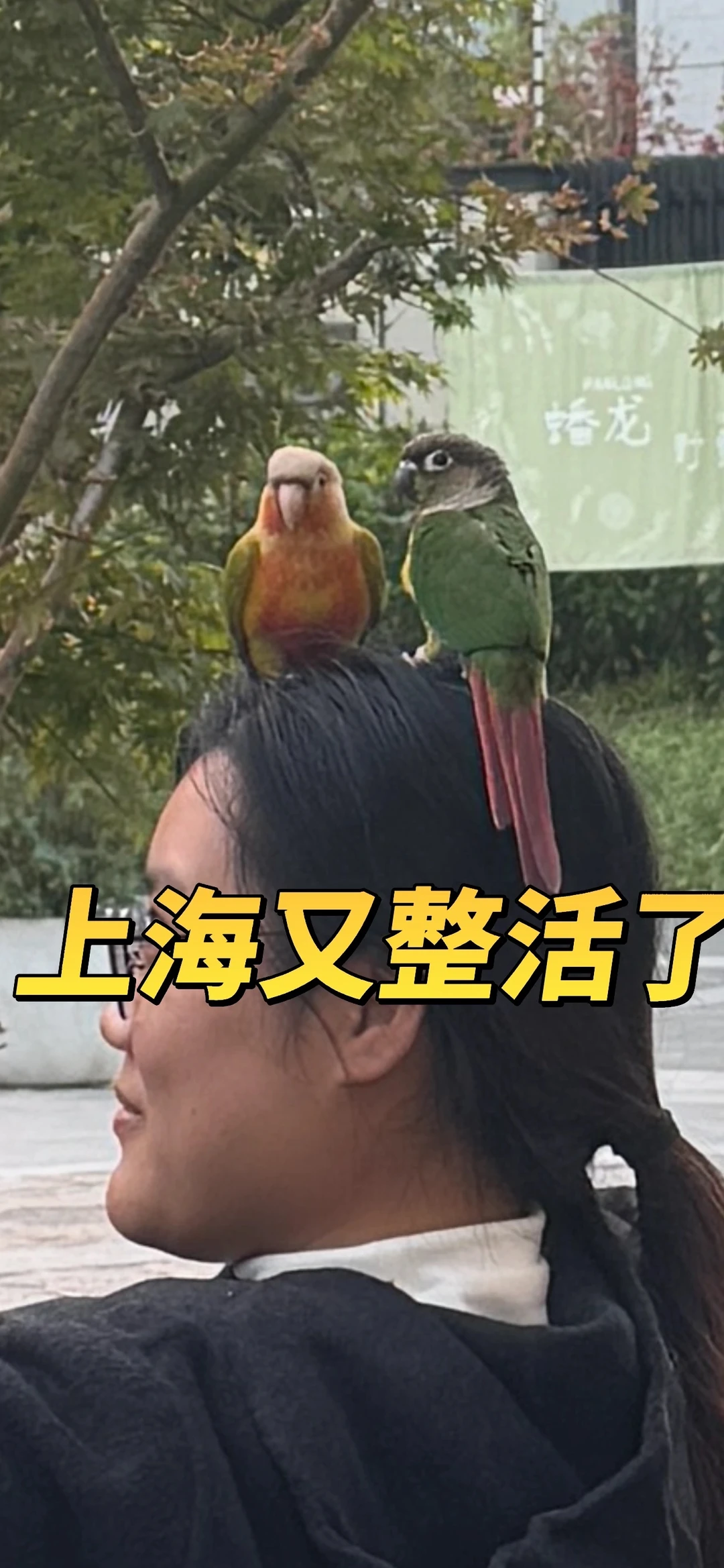 上海花花世界，一百年不许变