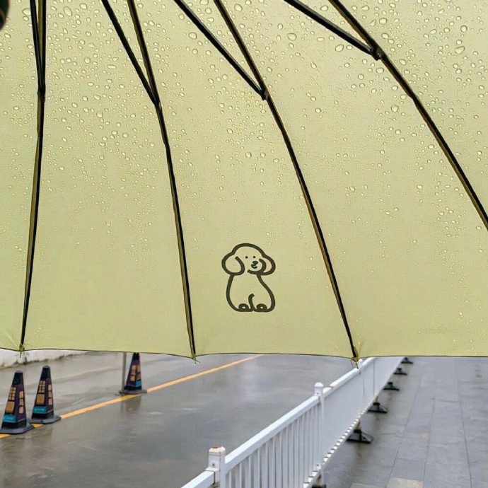 我不会永远这样沉在河底的，雨季终将过去。 