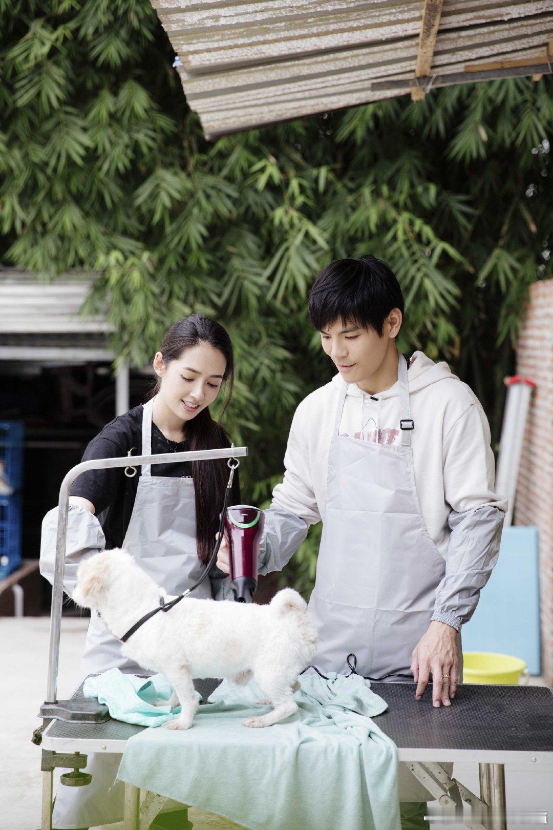 二狗问郭碧婷你爱向佐吗郭碧婷生二胎后花好几年才瘦下来救命🆘综艺史上的"社牛天花