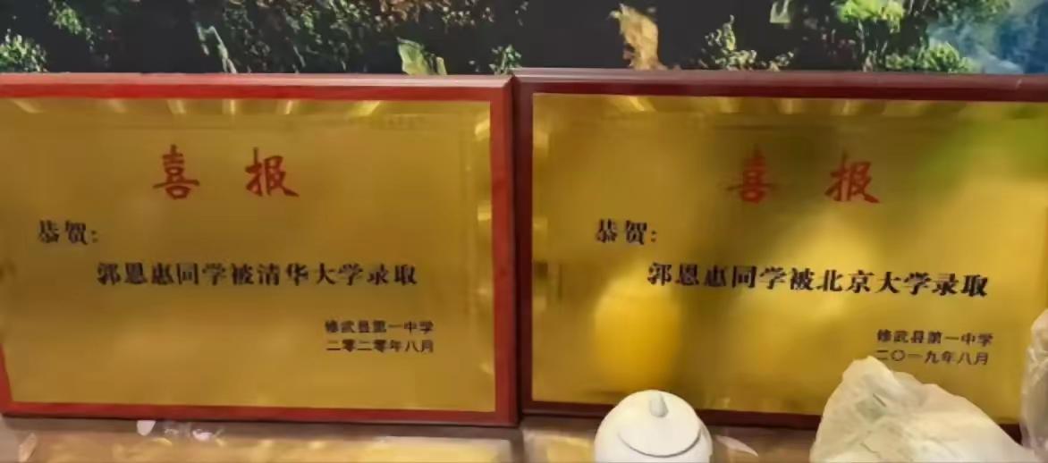 这是一个非常励志且发人深省的故事，讲述了一个来自河南农村的理工男郭恩惠，如何凭借