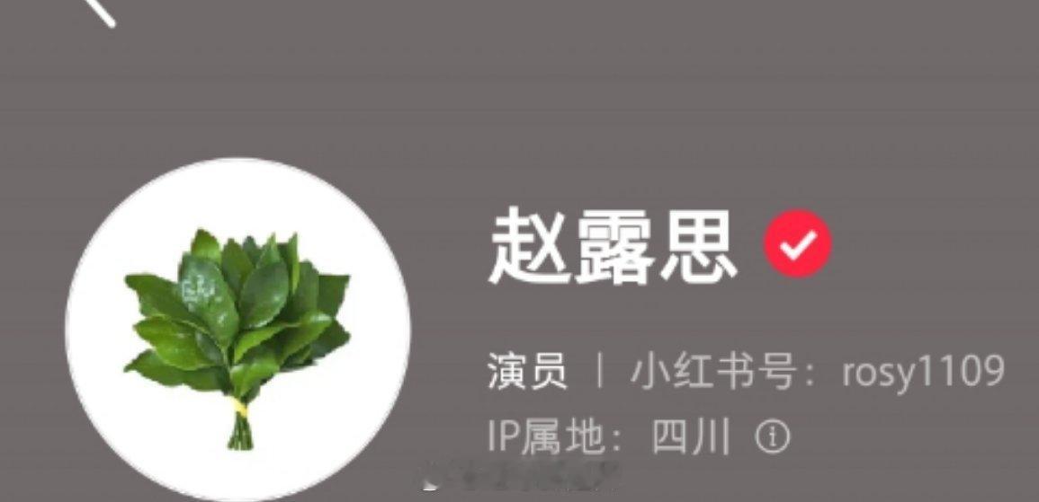 赵露思🍠换头像了柚子叶 ​​​
