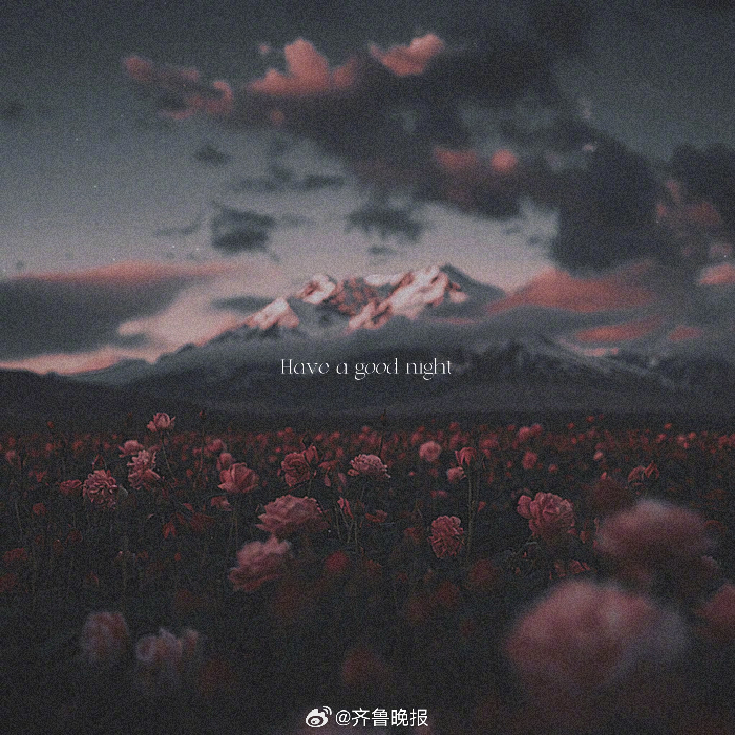 让心灵沉入宁静的海洋愿你有个甜美的梦#晚安#