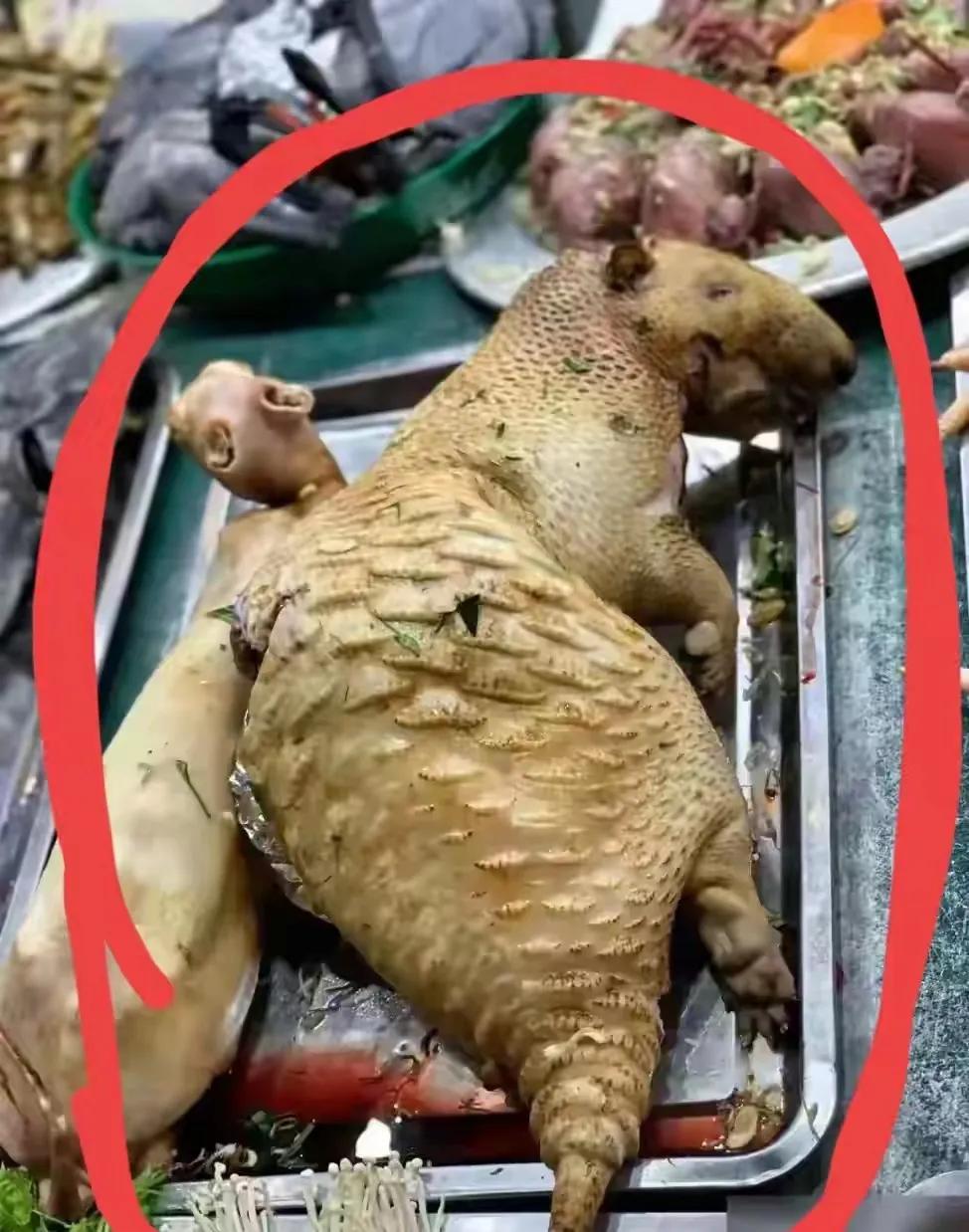 广东清远的老张，他是一个建筑工地上的师傅，为了赶工期完成，他每天都是带领几徒弟在