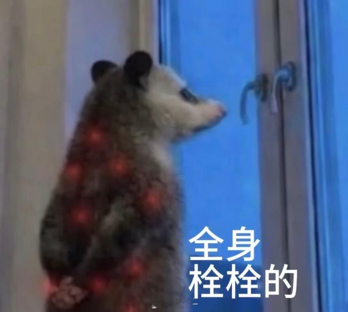 牛不乐 