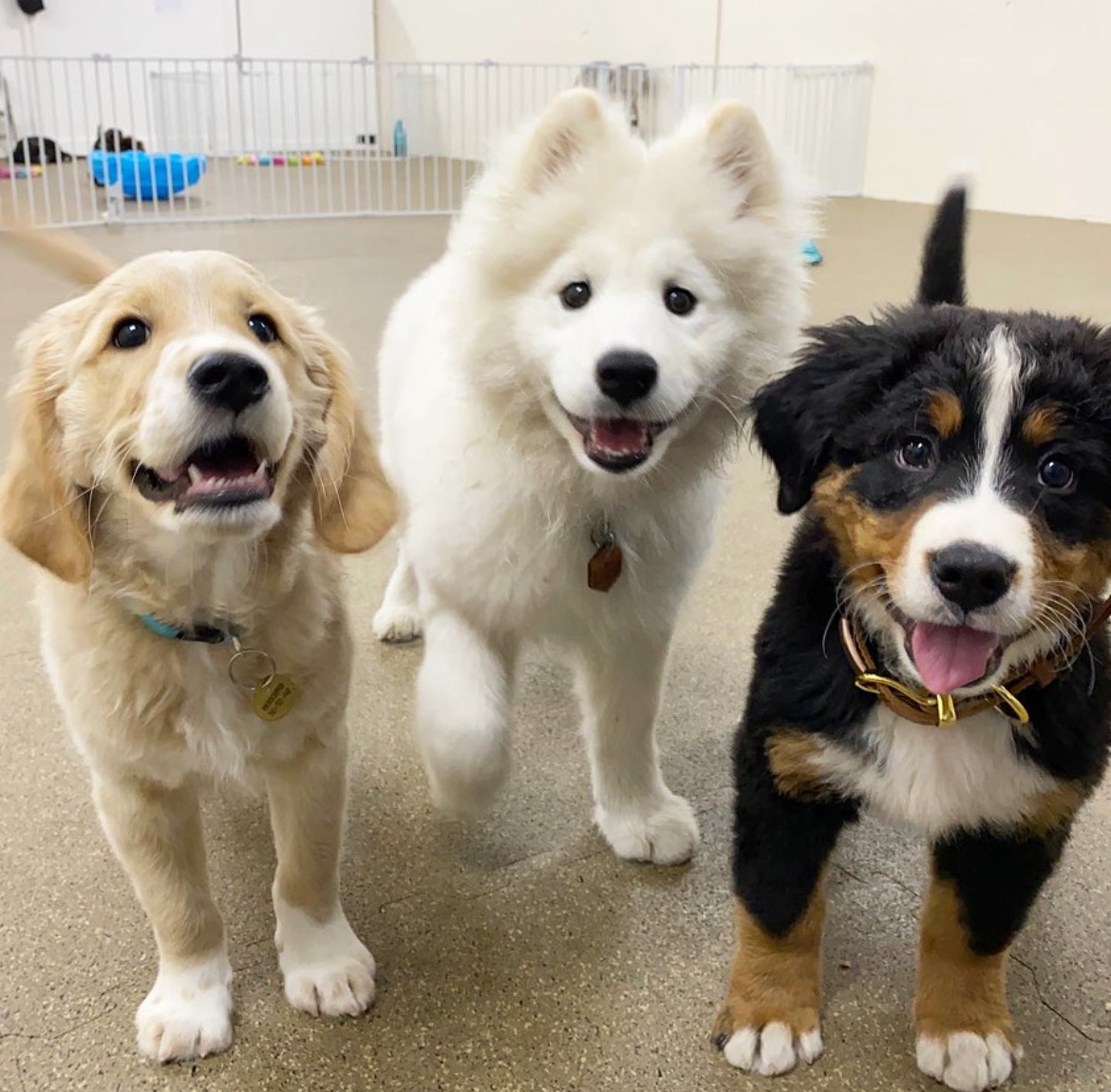 我们是老师最爱的学生！每次下课都把我们叫到办公室 