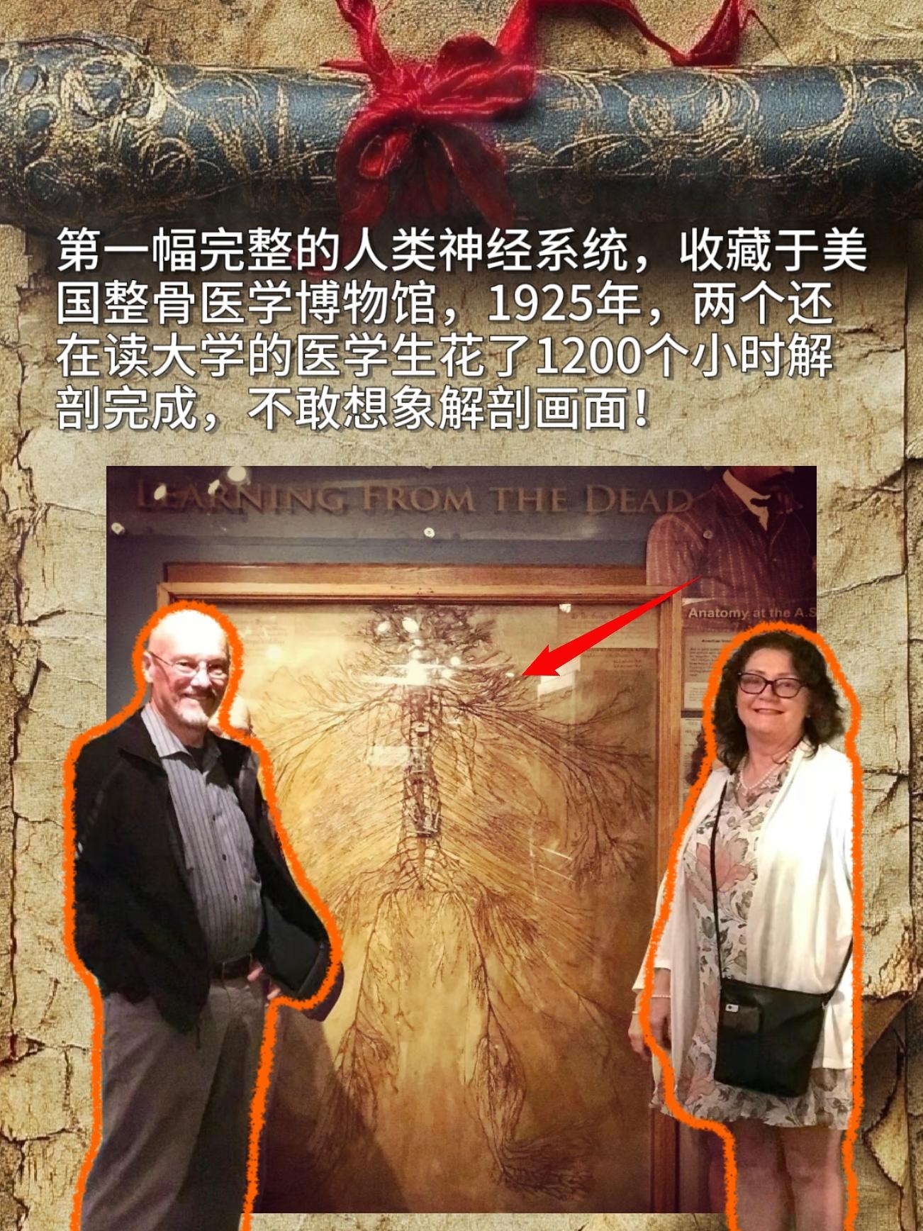 第一幅完整的人类神经系统，收藏于美国整骨医学博物馆，1925年，两个还...