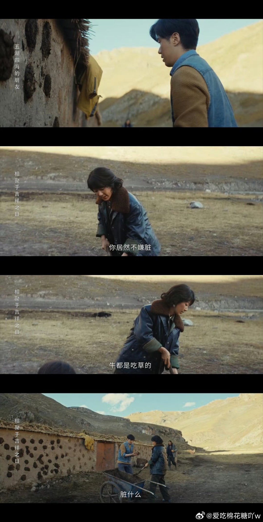 杨紫张哲华回应发粪涂墙看《生命树》直播被“发粪涂墙”笑疯，杨紫张哲华涂粪超认真，