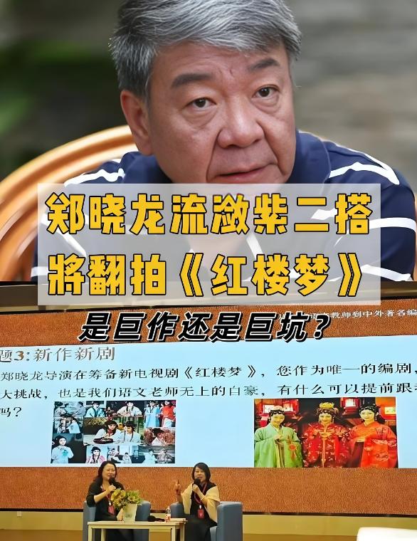 郑晓龙接手《红楼梦》翻拍任务后，决定做一次大胆的挑战，将故事主线搬到了后宫，贾元