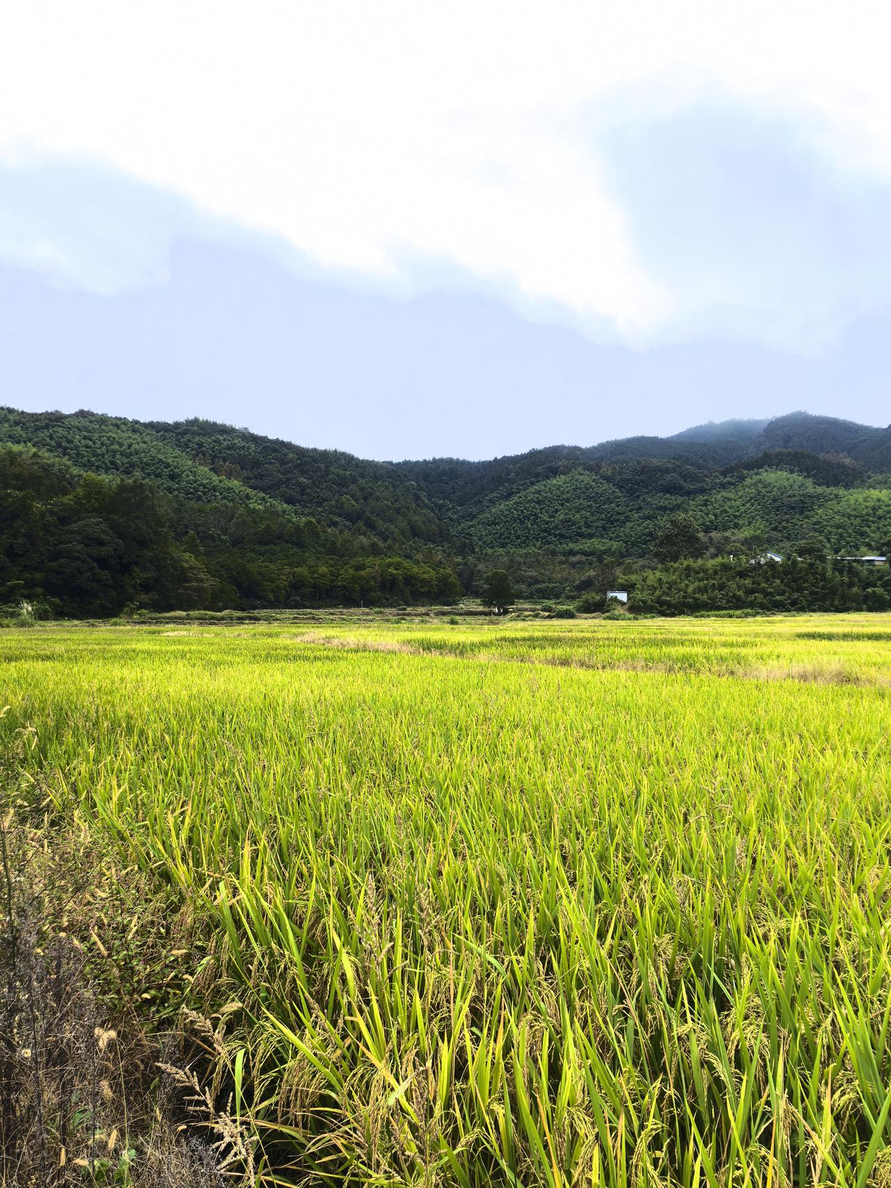 碰到一个学生家长，夫妻双方都是南京理工大学毕业的，在南京工作，单位也非常好。但是