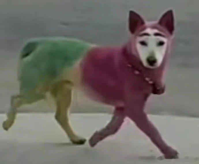 #这是为二次元量身定制的大巴吗#应该没有人能够拒绝的了这么好看的一个大巴吧，反正