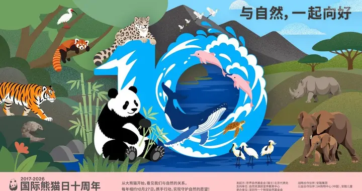 从大熊猫，看见我们与自然的关系国际熊猫日十周年