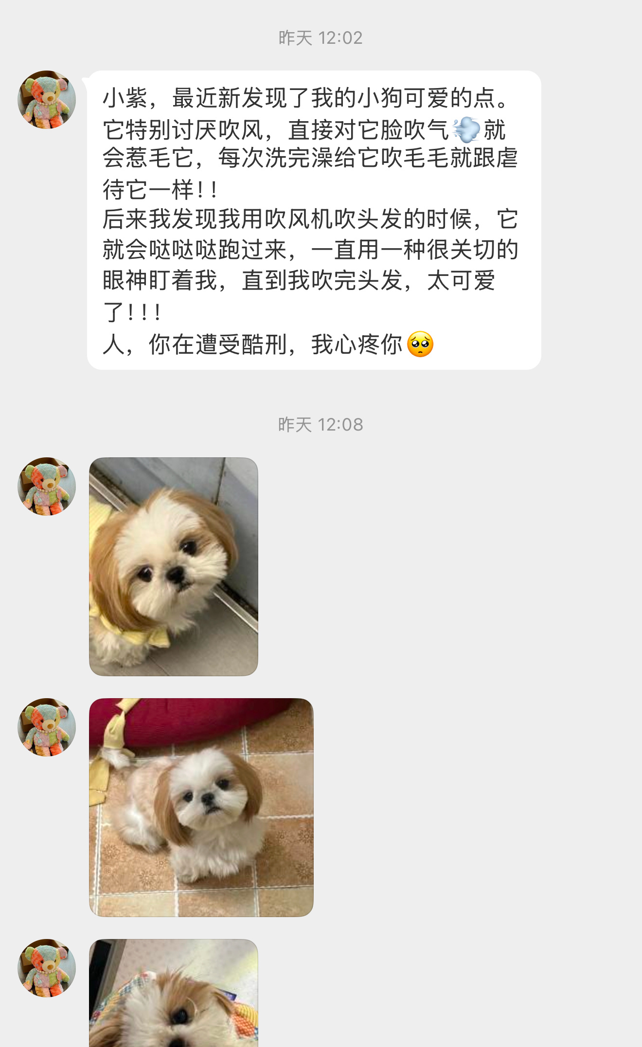 好可爱！【小紫，最近新发现了我的小狗可爱的点。它特别讨厌吹风，直接对它脸吹气💨