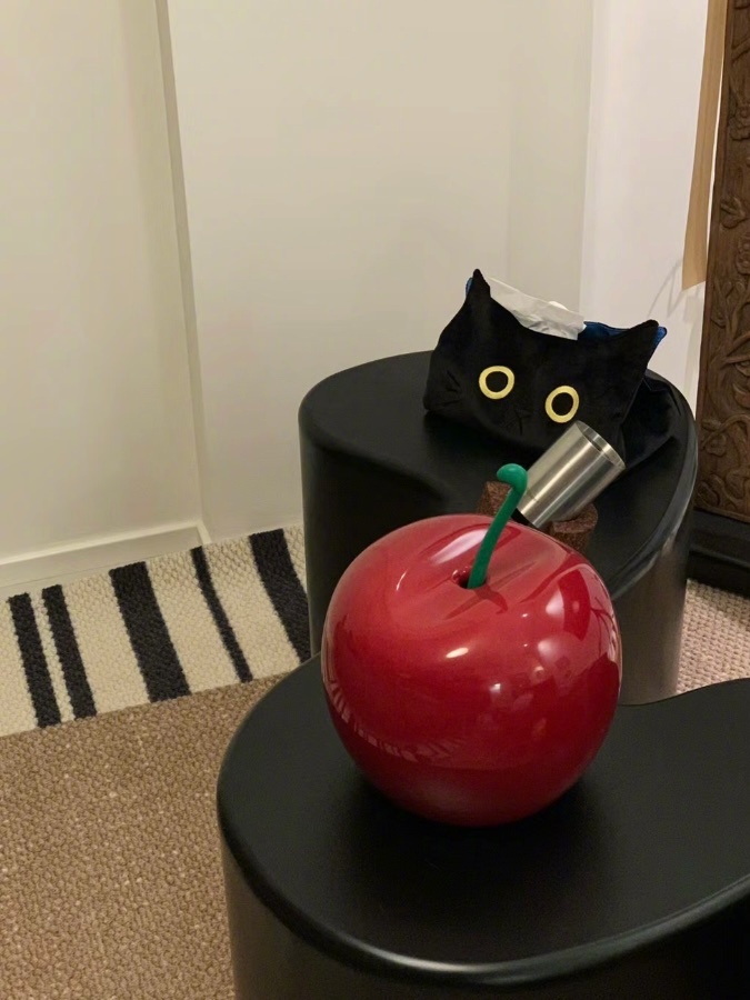 朋友来家里都以为这个车厘子🍒垃圾桶就是个装饰品摆件 直到我打开后我个个都是一脸