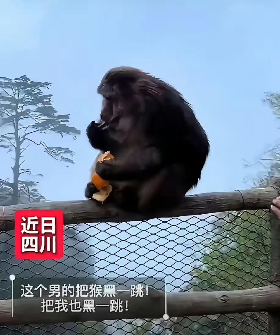 你有没有想过，面对一个毫无防备的弱者，在完全没招惹你的情况下，你会突然生出把它推