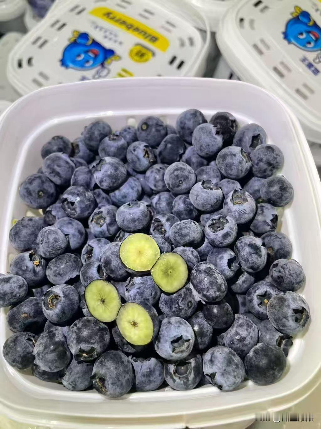 春日的水果里，蓝莓必须拥有姓名！这可是妥妥的春日限定美味。
蓝莓小小的一颗，圆润