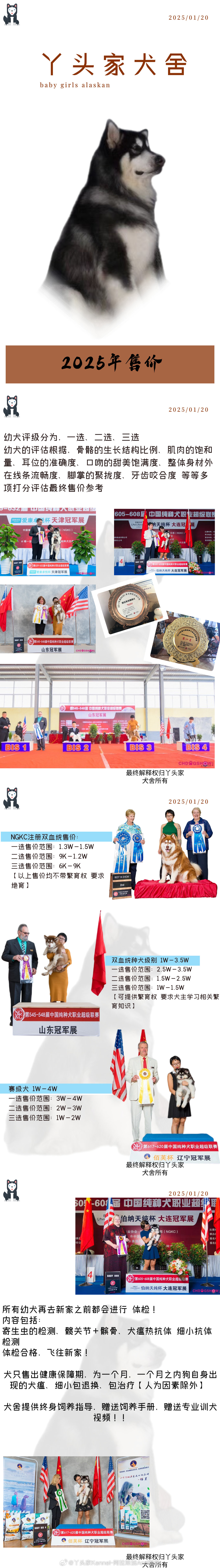 丫头家犬舍 2025年阿拉斯加 售价[羞嗒嗒][羞嗒嗒][给力][给力] 