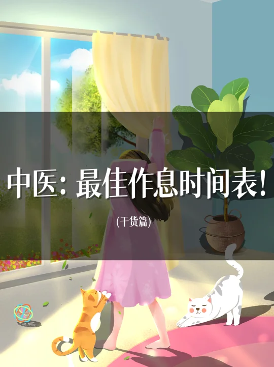 中医：最佳作息时间表